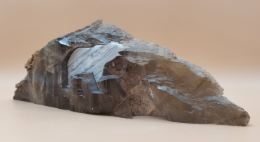 Preview: Der letzte Bär im Wallis